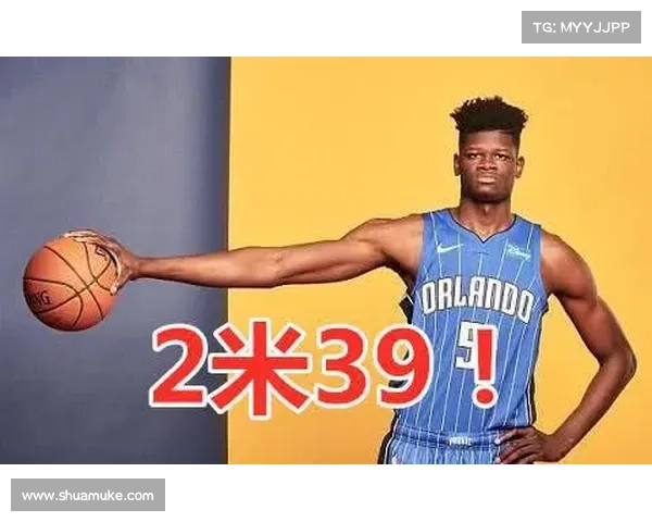 NBA臂展排行榜 NBA历史上各位置臂展最长的人 NBA臂展排行榜 NBA历史上各位置臂展最长的人