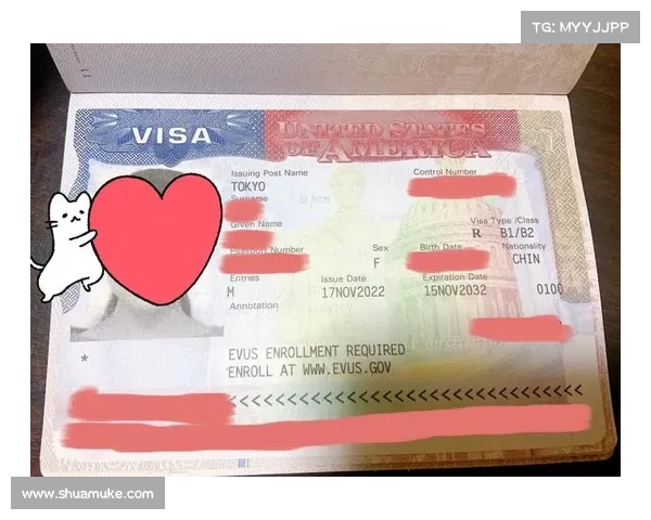 一篇文章,助你顺利通关美国签证 一篇文章,助你顺利通关美国签证